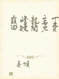 巅峰龙主丁长顺田晓兰免费阅读