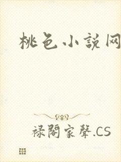 桃色小说网封面