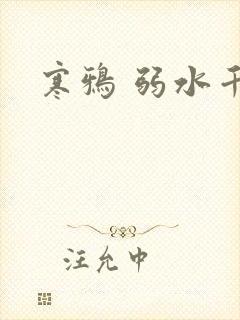 寒鸦 弱水千流