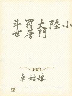 斗罗大陆小说绝世唐门封面