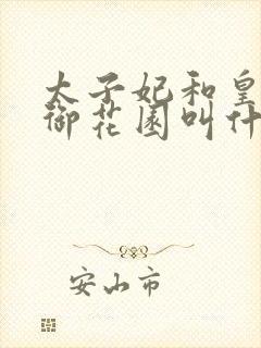 太子妃和皇帝在御花园叫什么小说封面