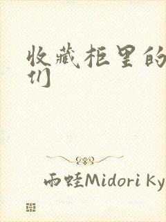 收藏柜里的男人们封面