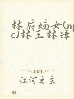 林府嫡女(npc)林玉林璋