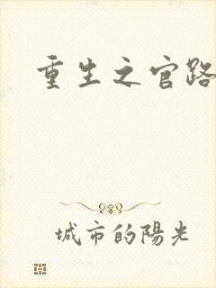 重生之官路风流