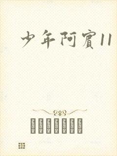 少年阿宾11封面