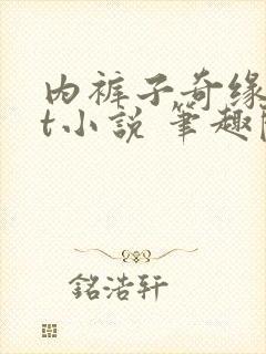 内裤子奇缘txt小说 笔趣阁