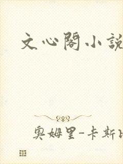 文心阁小说