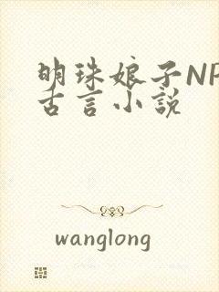明珠娘子NPC古言小说