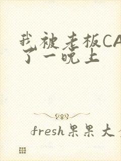 我被老板CAO了一晚上