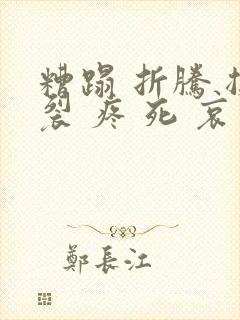 糟蹋 折腾 撕裂 疼 死 哀求封面