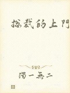 总裁的上门女婿