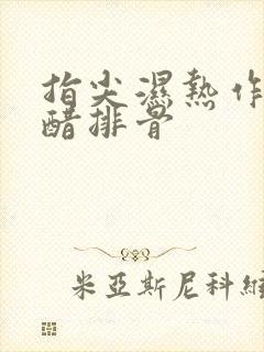 指尖湿热作者糖醋排骨