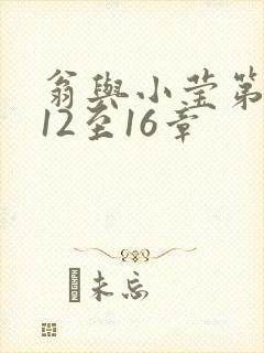 翁与小莹第十部12至16章