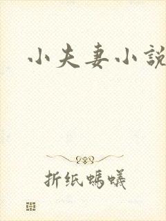 小夫妻小说