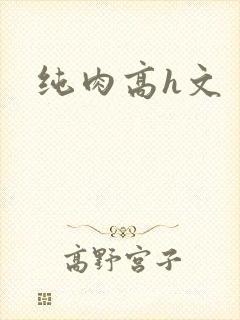 纯肉高h文