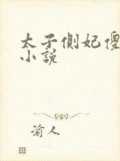 太子侧妃傻乎乎小说