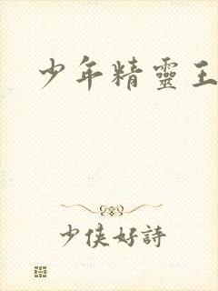 少年精灵王