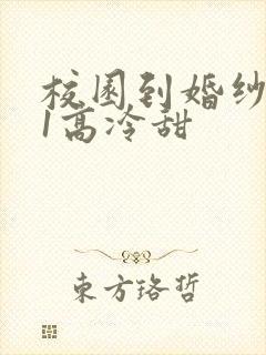 校园到婚纱1V1高冷甜