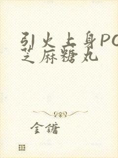 引火上身POP芝麻糖丸封面