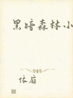 黑暗森林小说