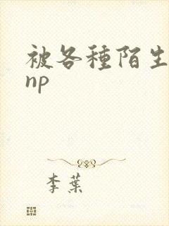 被各种陌生人 np