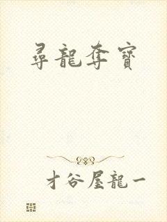 寻龙夺宝封面