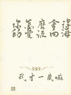 你怎么舍得让我的爱流向海