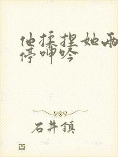 他揉捏她两乳不停呻吟封面