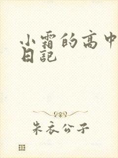 小霜的高中成长日记