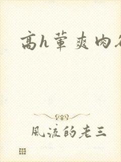 高h荤爽肉欲文