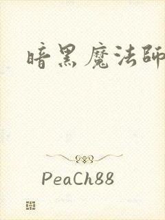 暗黑魔法师封面