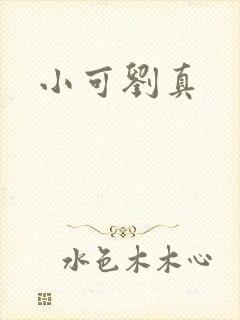 小可刘真封面