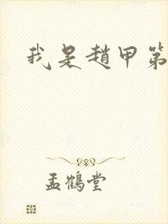 我是赵甲第小说封面