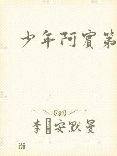 少年阿宾第二部