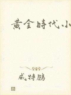 黄金时代小说