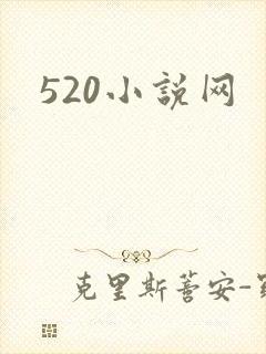 520小说网