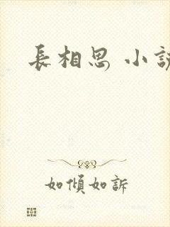 长相思 小说