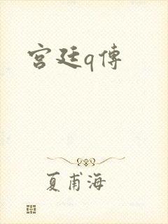 宫廷q传