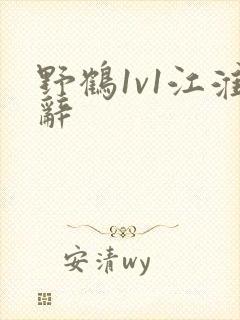 野鹤1v1江淮辞封面