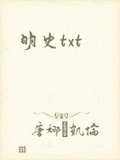 明史txt封面