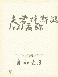 夫君摔断腿后(1v2)孟弥