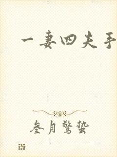 一妻四夫手记