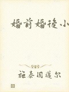 婚前婚后小说封面