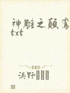 神雕之颠鸾倒凤txt