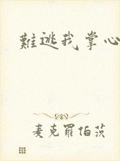 难逃我掌心封面