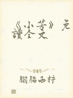 《小芳》免费阅读全文