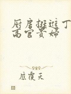 厨房挺进丁字裤高官贵妇