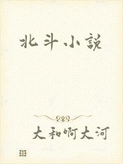 北斗小说