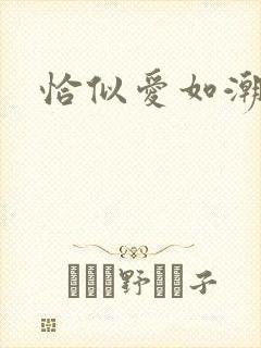 恰似爱如潮封面