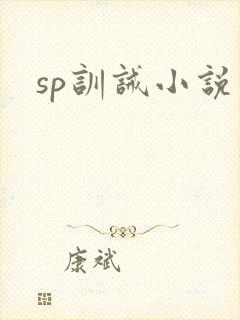 sp训诫小说